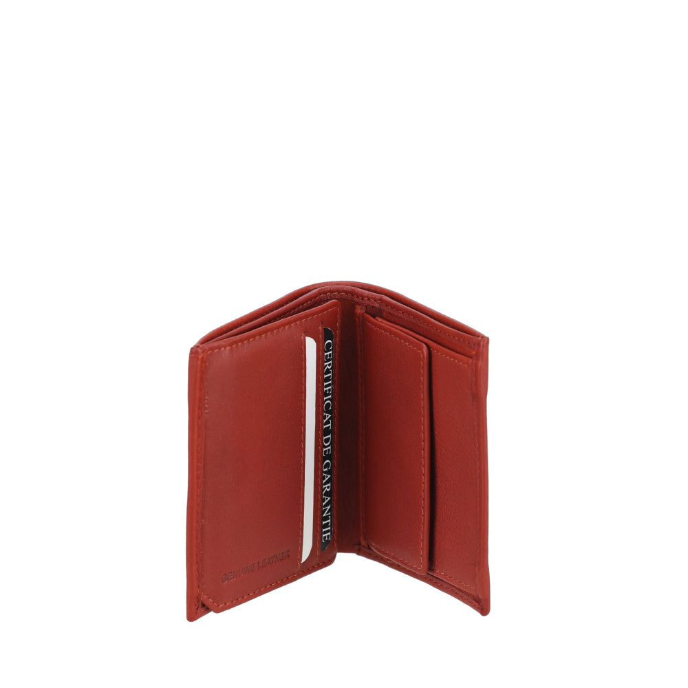 Porte monnaie et cartes Cuir Terry