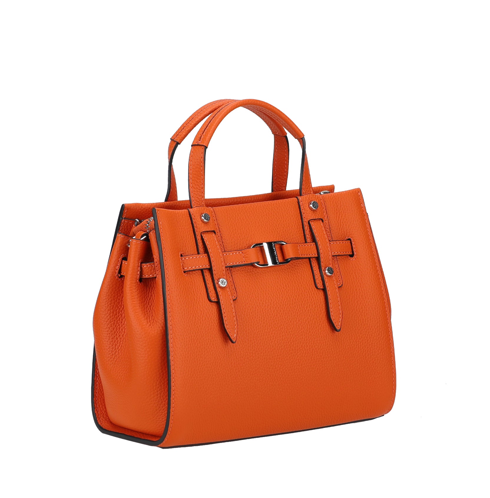 Daphne S leather handbag
