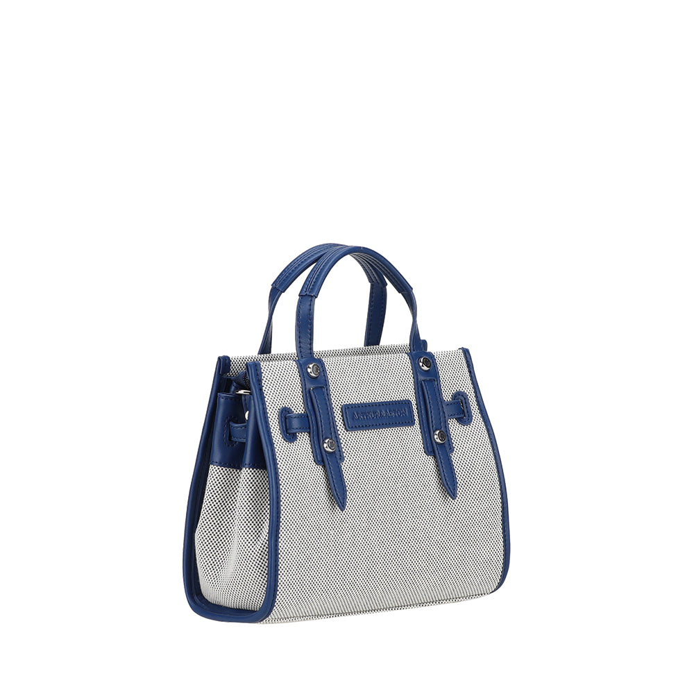 Petit Sac à main Rosa Toile